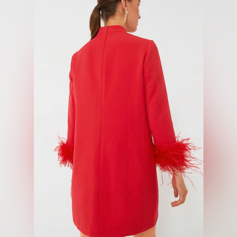 Tuckernuck Red Feather Mod Ellie Dress - Brand New with Tags- Size XL - Picture 3 of 10